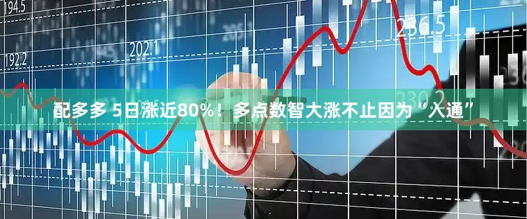 配多多 5日涨近80%！多点数智大涨不止因为“入通”